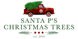 Santa P's Christmas Trees